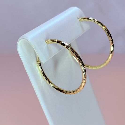 dion hoop earrings