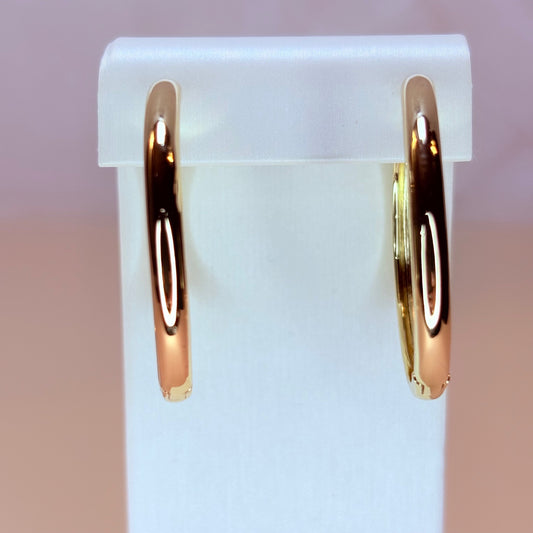 anise hoop earrings