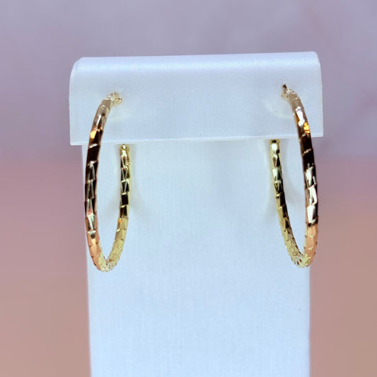 dion hoop earrings